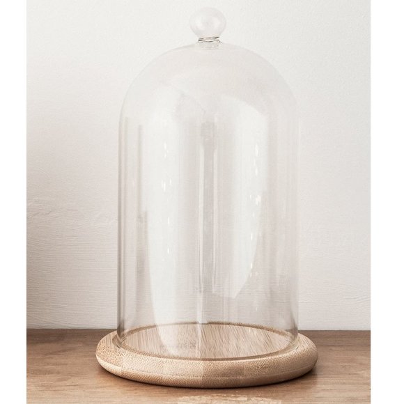 NWOT Glass Cloche Bell Jar Display Dome With Wooden Base - Picture 4 of 7